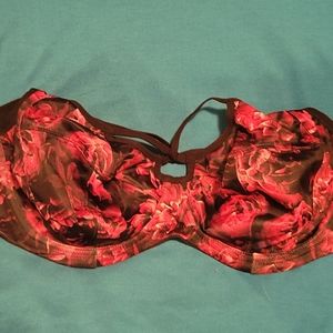 Elomi 36dd dark rose